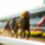 Thoroughbred racing at Parx Racing