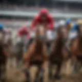 A close-up of a horse racing event showcasing the excitement of bettors