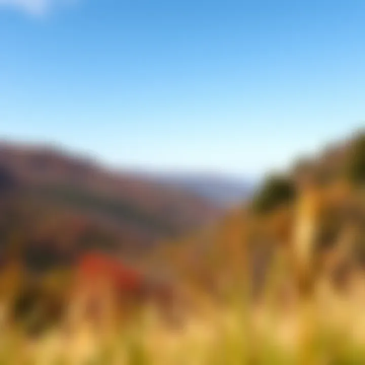 A scenic view of West Virginia's landscapes